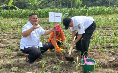 Camat Pagentan Ikut Serta dalam Kegiatan Penanaman Pohon Aren di Hari Lingkungan Hidup Sedunia 2025